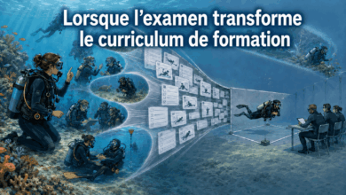 Lorsque l’examen transforme le curriculum
