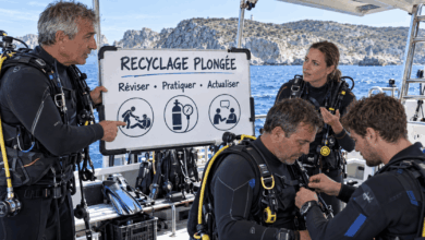 Maintenir les compétences en plongée. Quelle place pour le recyclage
