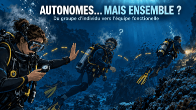 L’autonomie en palanquée : pourquoi l’intelligence collective ne va pas de soi